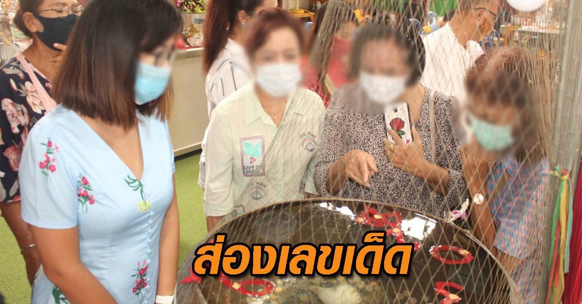 เลขเด็ด