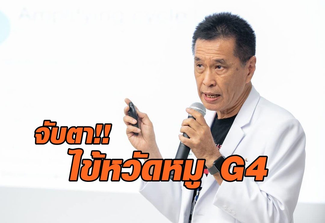 ‘หมอธีระวัฒน์’ เผยไทยจับตา ‘ไข้หวัดหมู G4’ ชี้ผสมควบ ‘นก-คน-หมู’ แนะ ปชช.สวมหน้ากาก ล้างมือ