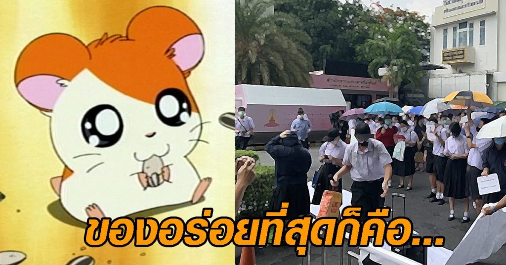 เพจดังเฉลย ทำไมแฟลชม็อบน.ร.-น.ศ. ถึงร้องเพลงการ์ตูน 'แฮมทา ...