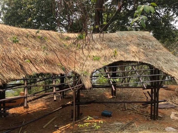 ARCH1 (1)