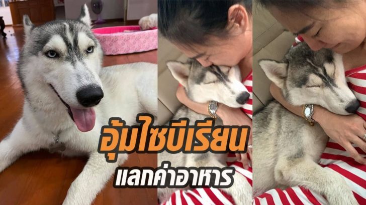 กล้้วยฉาบ