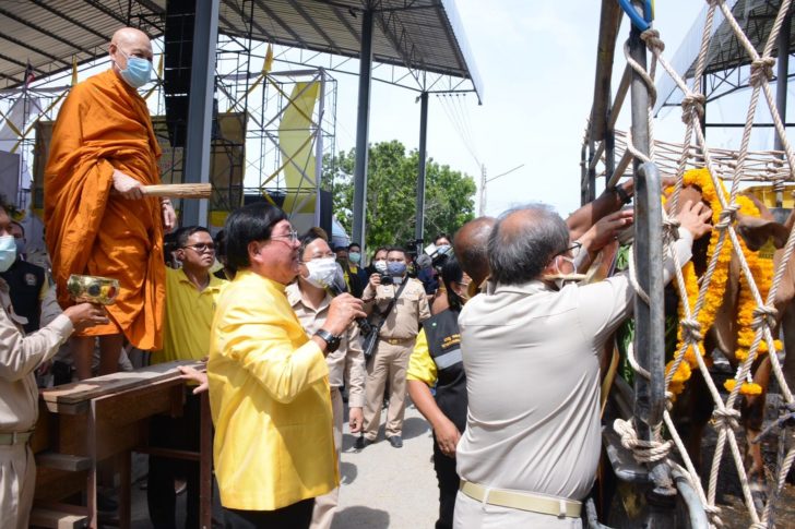 ปศุสัตว์13