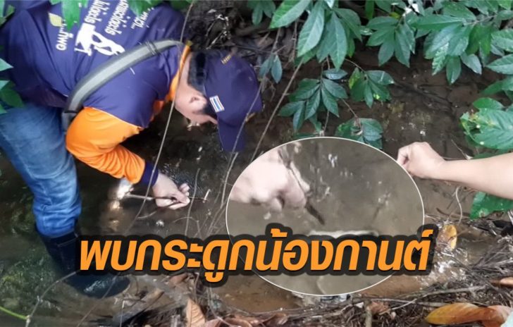 พบแล้ว! 'กระดูกน้องกานต์