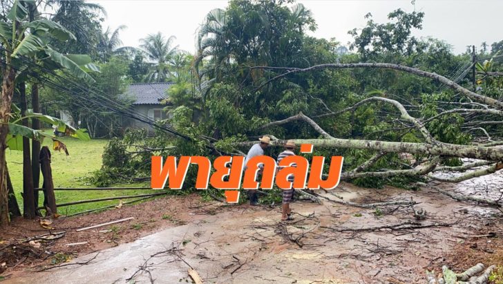 พายุถล่ม