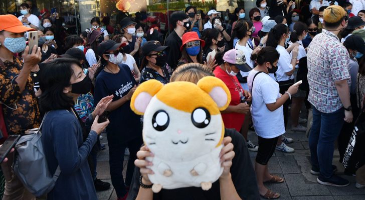 สถานีคิดเลขที่ 12 : แฮมทาโร่ช่วยด้วย