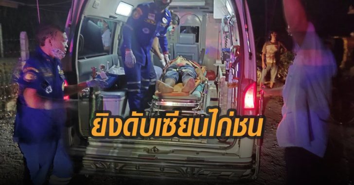 ยิงดับเซียนไก่ชน