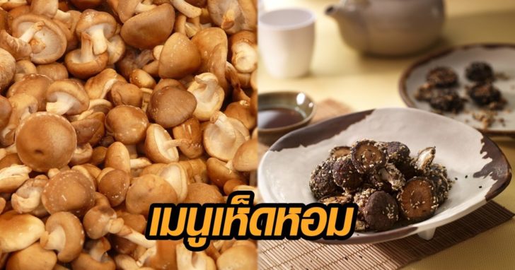 เมนูเห็ดหอม