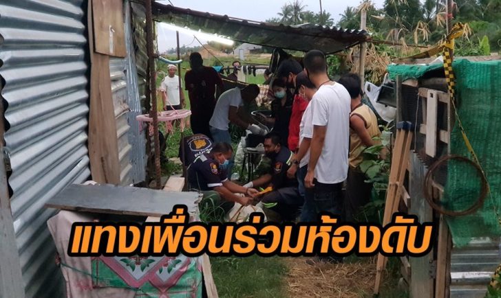 แทงดับ