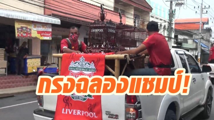 แฟนหงส์แดงจะนะ6