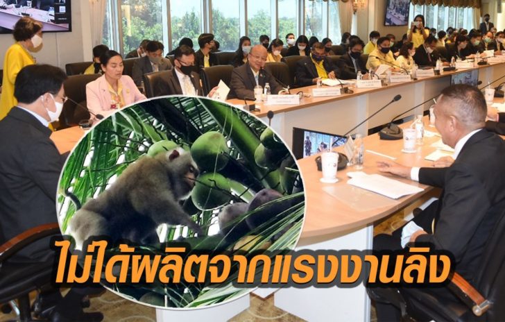แรงงานลิง