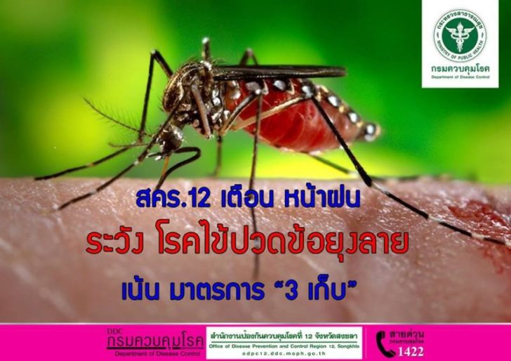 news_Chikungunya