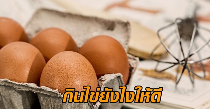กินไข่ได้มากกี่ฟอง