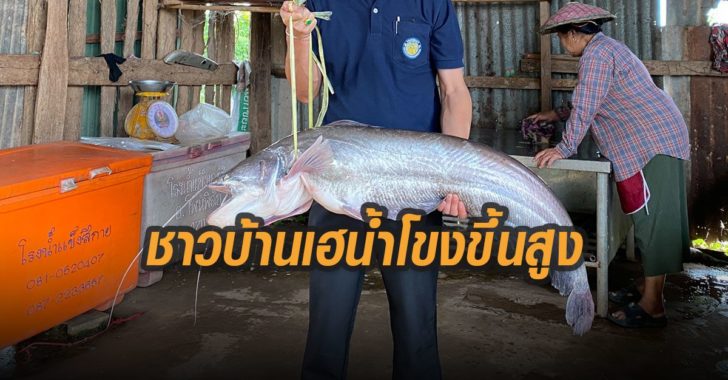 ชาวบ้านเฮน้ำโขงขึ้นสูง