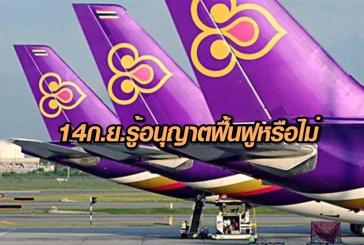 บินไทย-ฟื้นฟู