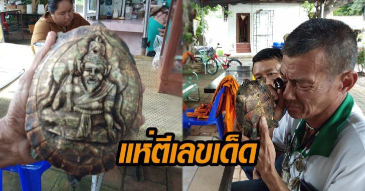 ภาพนำ เต่า