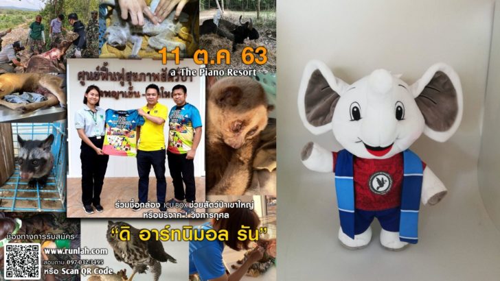 วิ่งเพื่อสัตว์ป่า