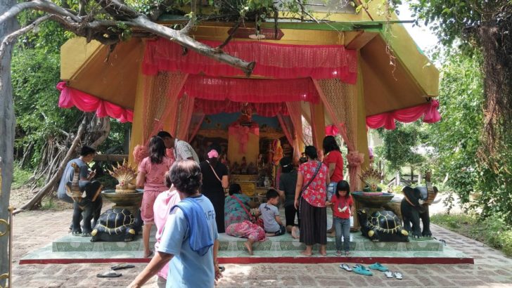 เจ้าแม่ไทรงาม2