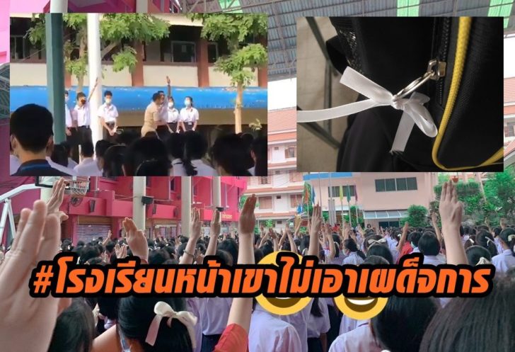 โบว์ขาว8