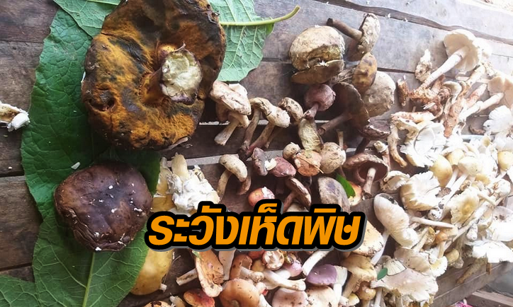 capture-20200918-145015++113321