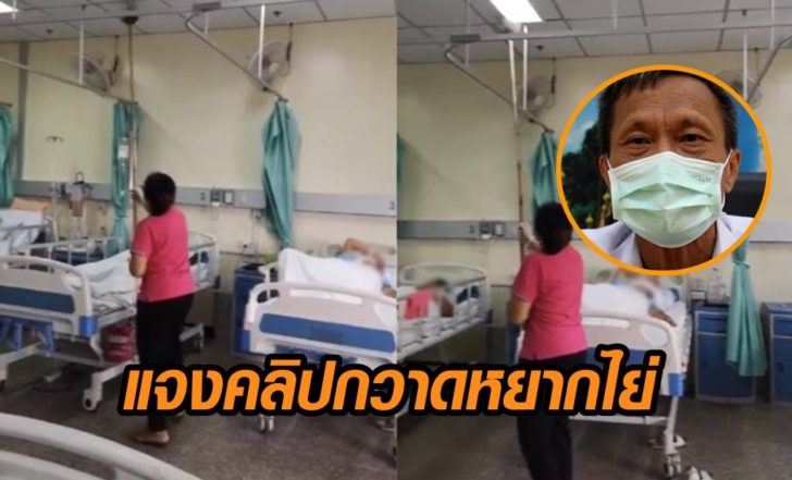 กวาดหยากไย่