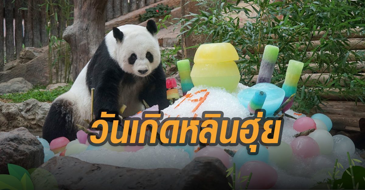 ฉลองวันเกิดหลินฮุ่ย