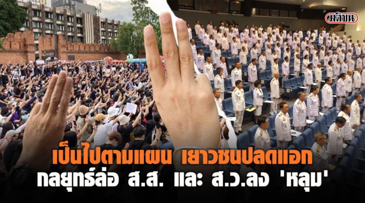 ตามแผน