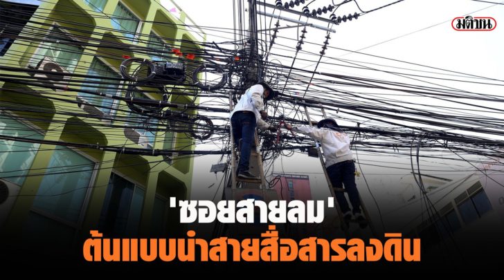 ต้นแบบ ลงดิน