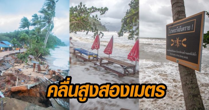 ภาพนำตาลคู่