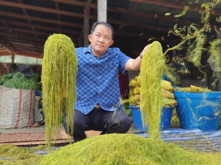ศรีสุวรรณ ยาสูบ1