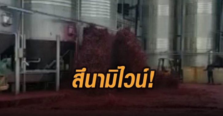 สึนามิไวน์-ทะลักถังเก็บ-สเปน
