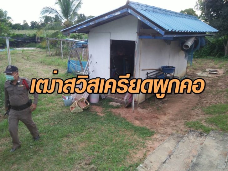 เฒ่าสวิสเครียดผูกคอ