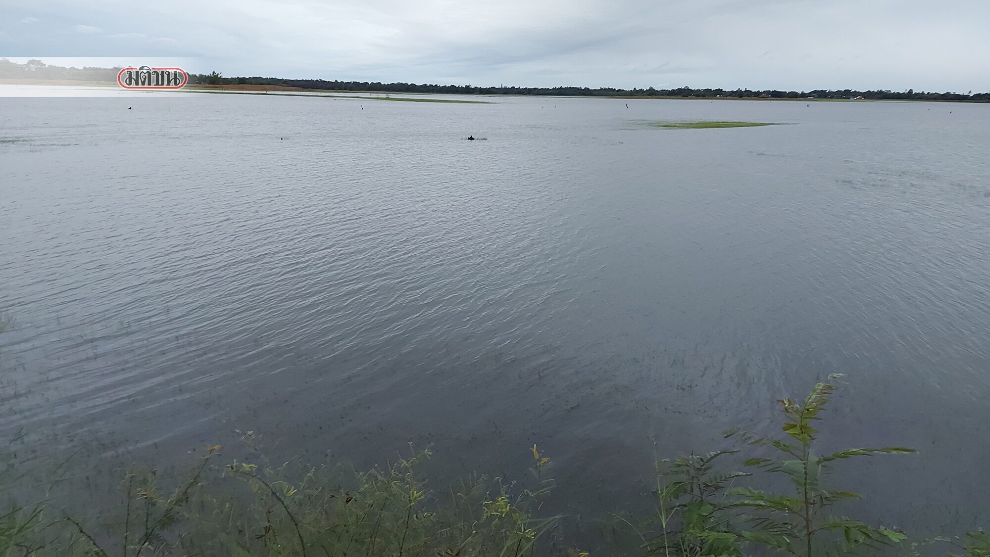 This image is not belong to us