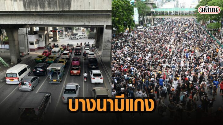 19พั่พ