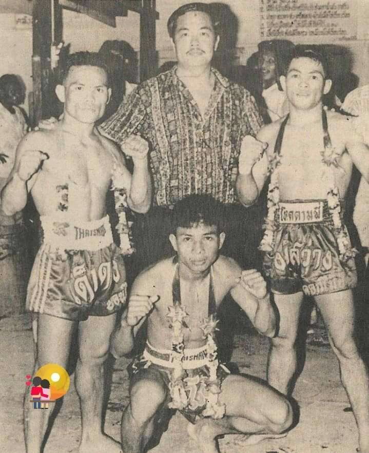 ดอกไม้ป่า
