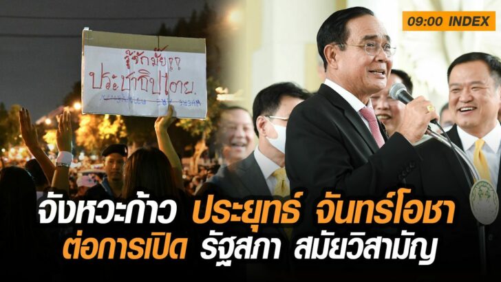 20พัาะ