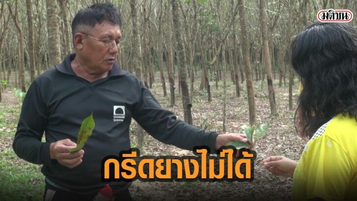 57ัะ่พ