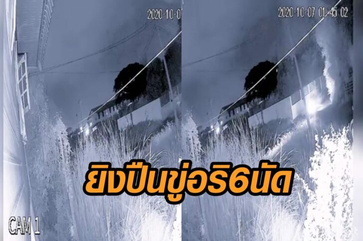 6นัด