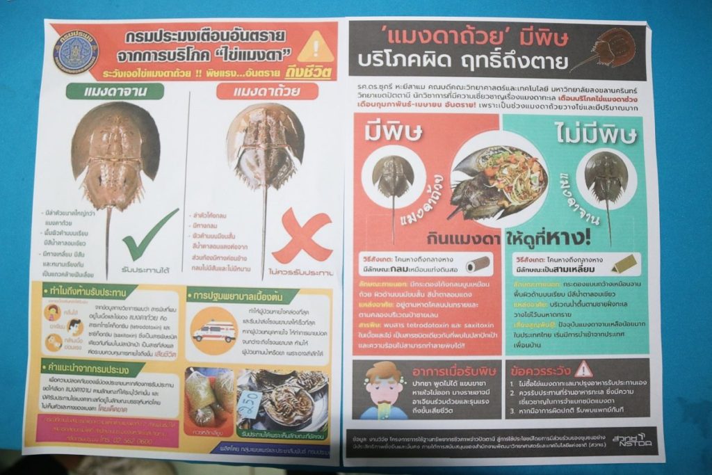 แมงดาถ้วย