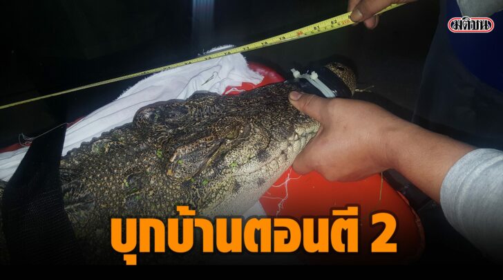 ตี 2