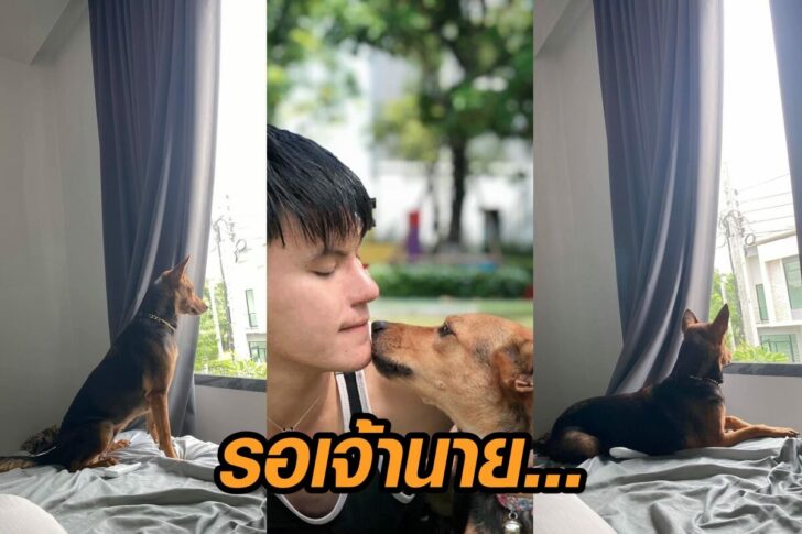 บูม-หมูทะ