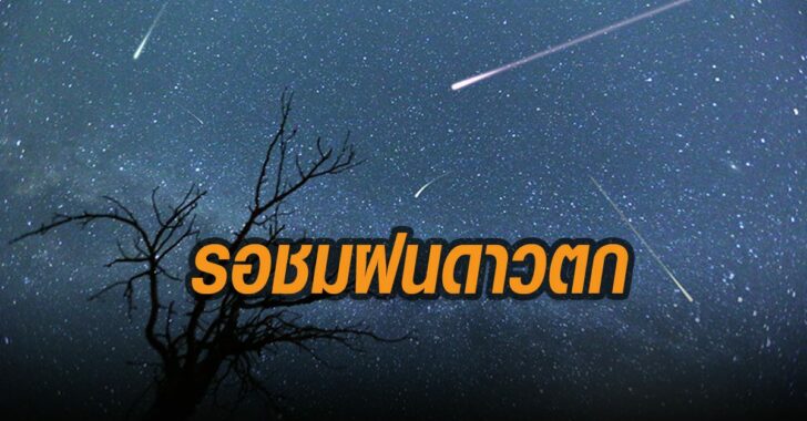 รอชม-ฝนดาวตก