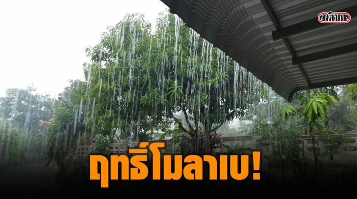 ฤทธิ์โมลาเบ This image is not belong to us