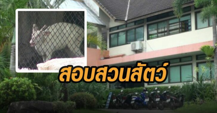 สอบสวนสัตว์