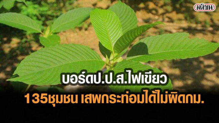 02-รูปนำการเมือง-25755ered