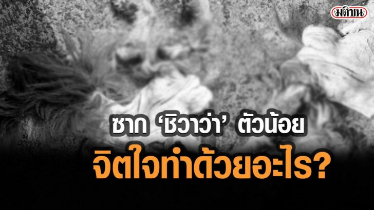 02-รูปนำการเมือง-656