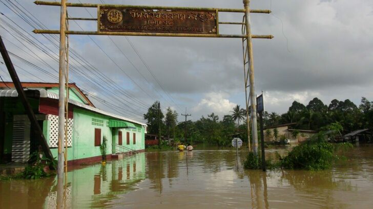 16ีรวี
