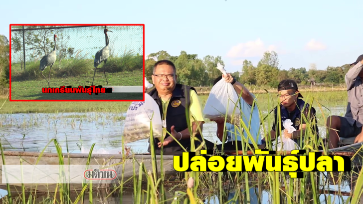 3.นั่งเรือปล่อยปลา