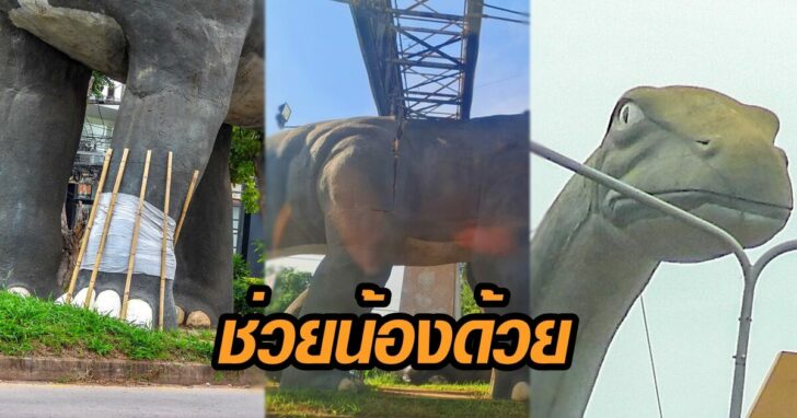 ช่วยน้องด้วย