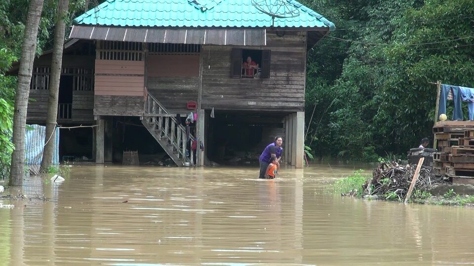 สะเดา