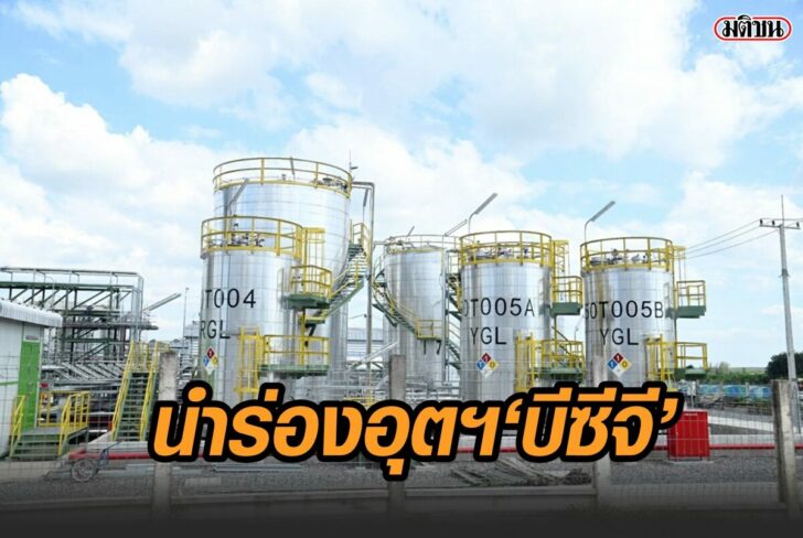 บีซีจี (3)